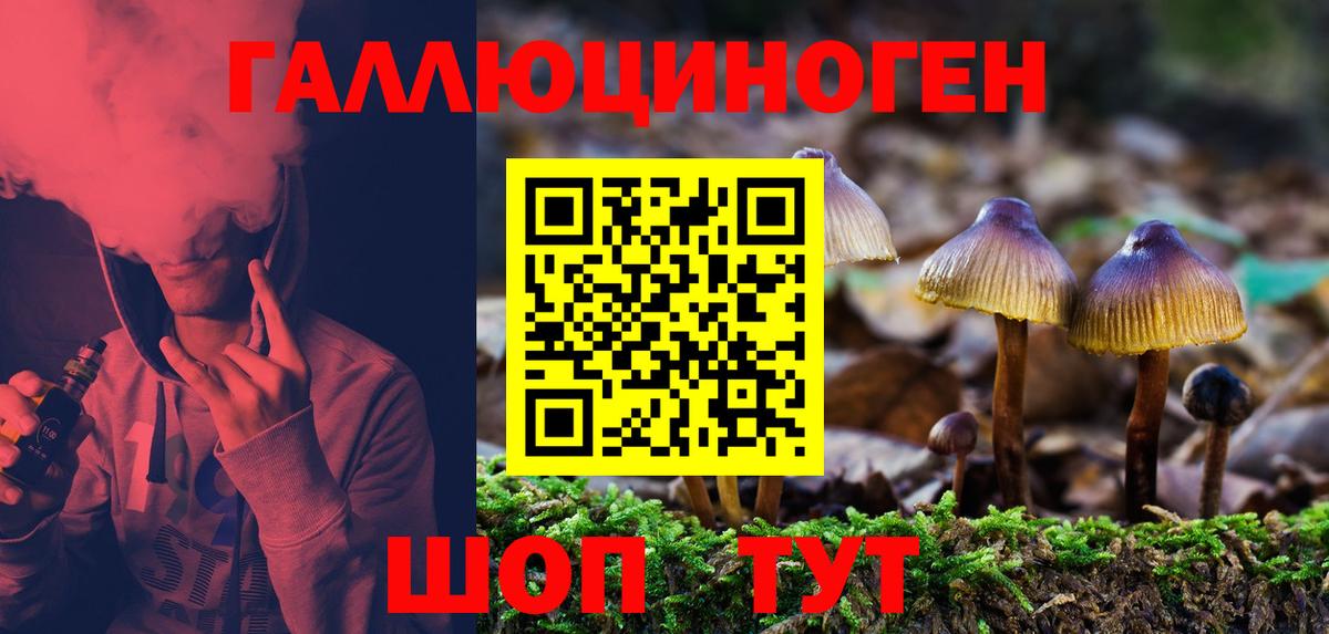 Галлюциногенные грибы Psilocybine cubensis  Псилоцибиновые грибы GOLDEN TEACHER  Вход с VPN  Глазов 