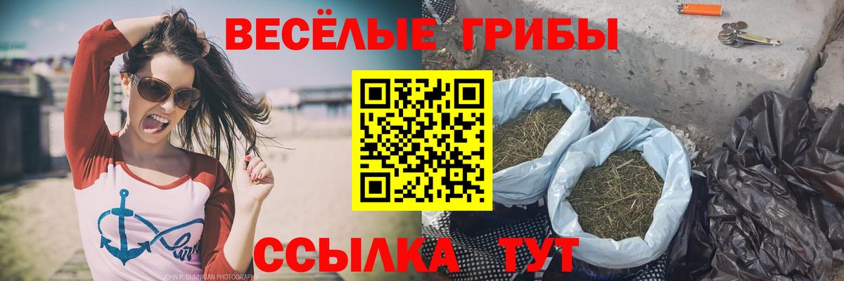 Псилоцибиновые грибы Cubensis Глазов